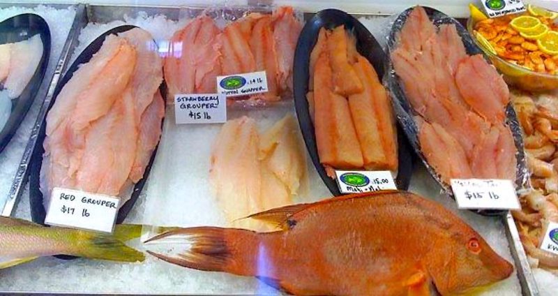Fresh grouper, hogfish and fillets laid out on ice in the display case at Eaton Street Seafood Market in Key West