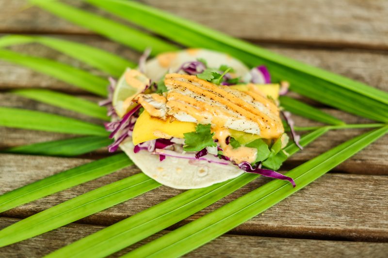 Mahi taco from Garbo's Grill topped with mango, red cabbage slaw and chipotle crema, styled on palm fronds