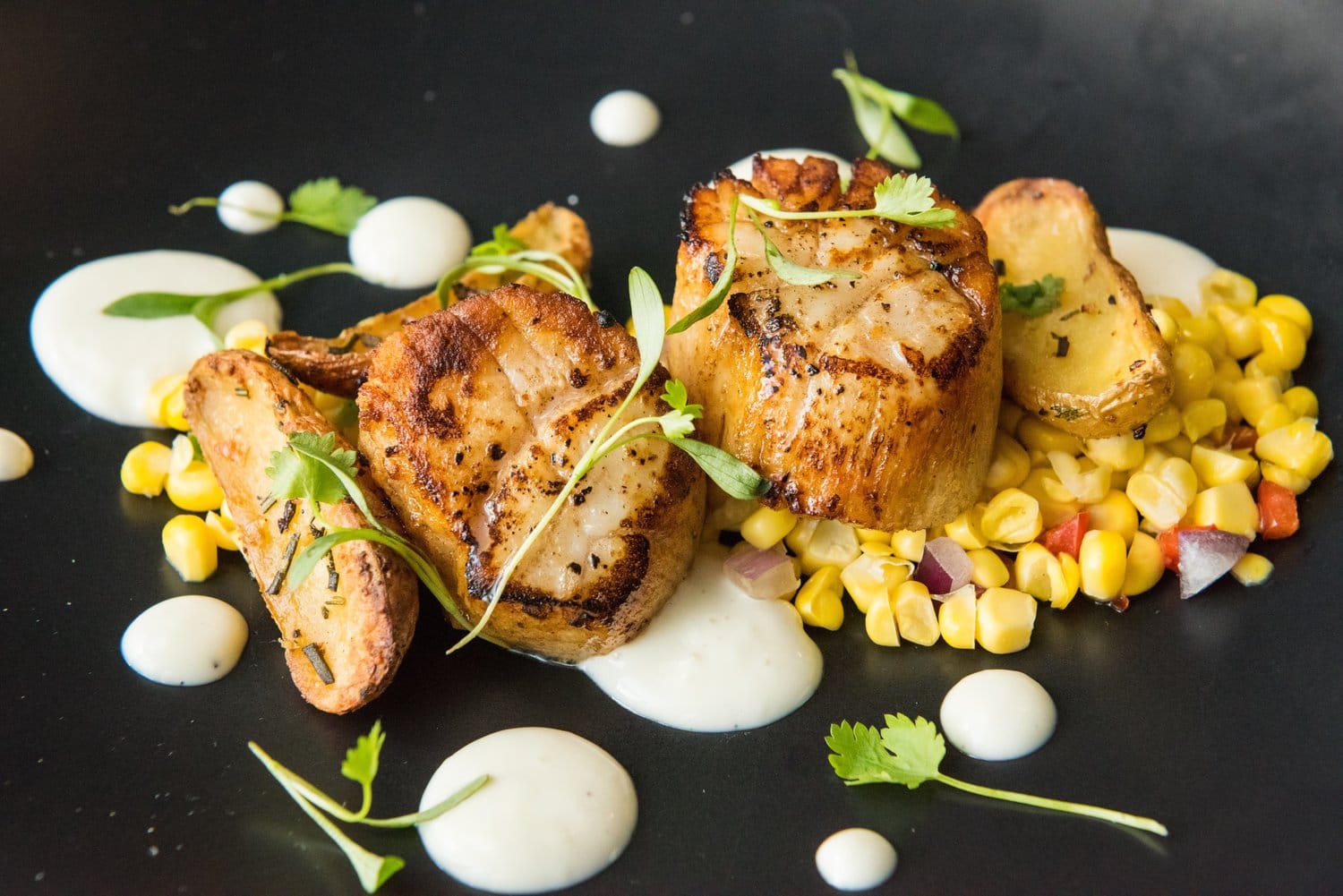 diver scallops, corn salsa, aioli. Best seafood bistro in Key West