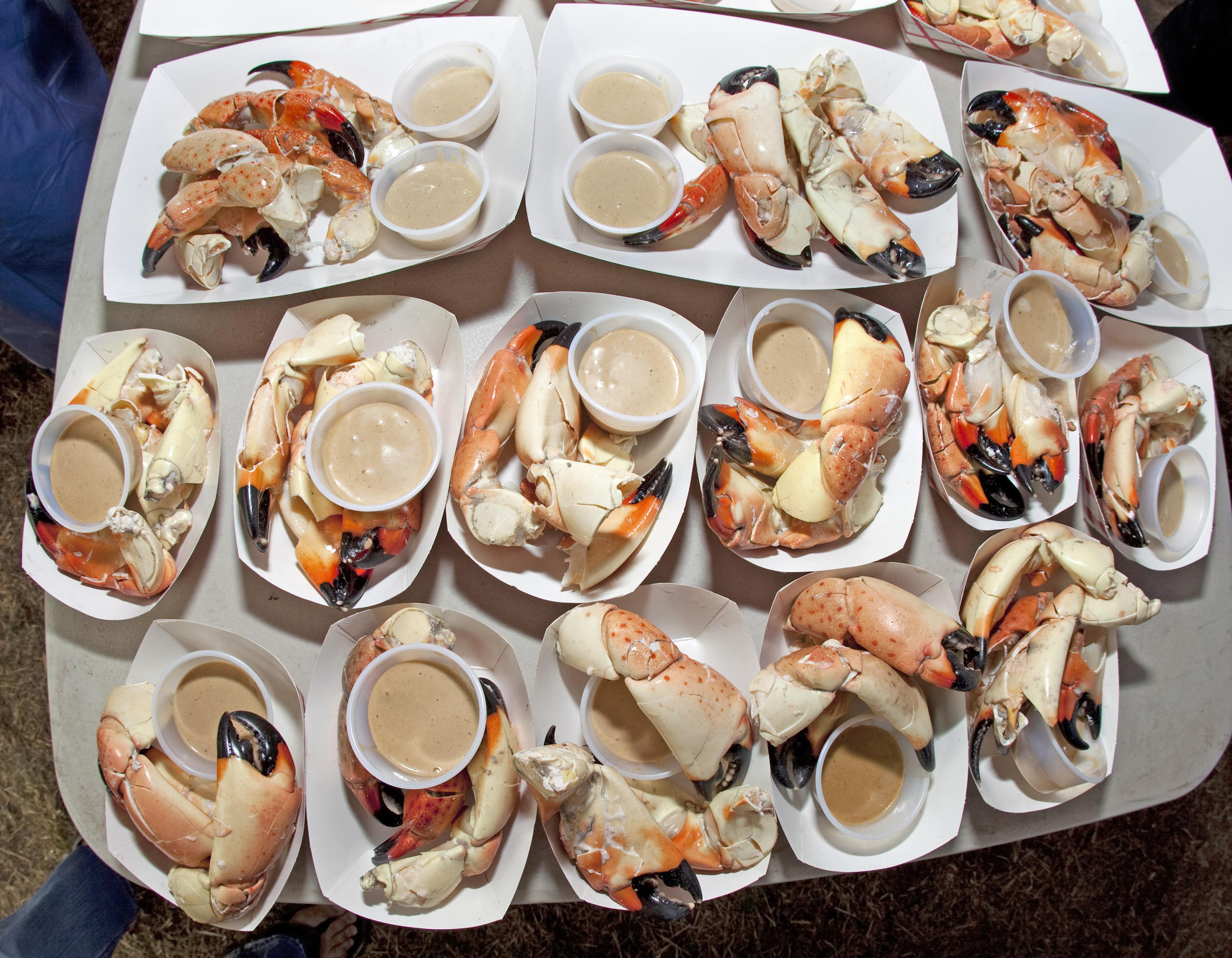 Stone crab claws plated and ready for purchase at the Key Largo Stone Crab Festival