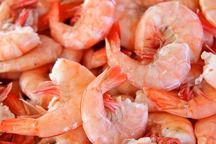 a close up of a shrimp