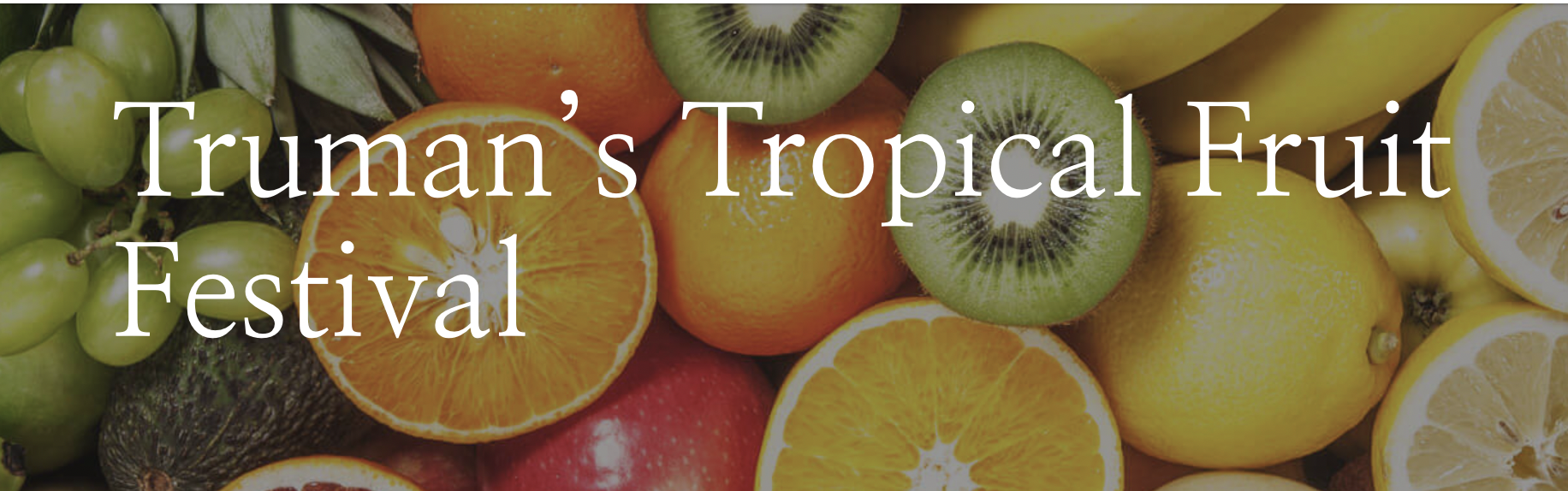 Tropical fruit banner.